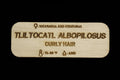 Tliltocatl Albopilosus Tarantula Name Tag