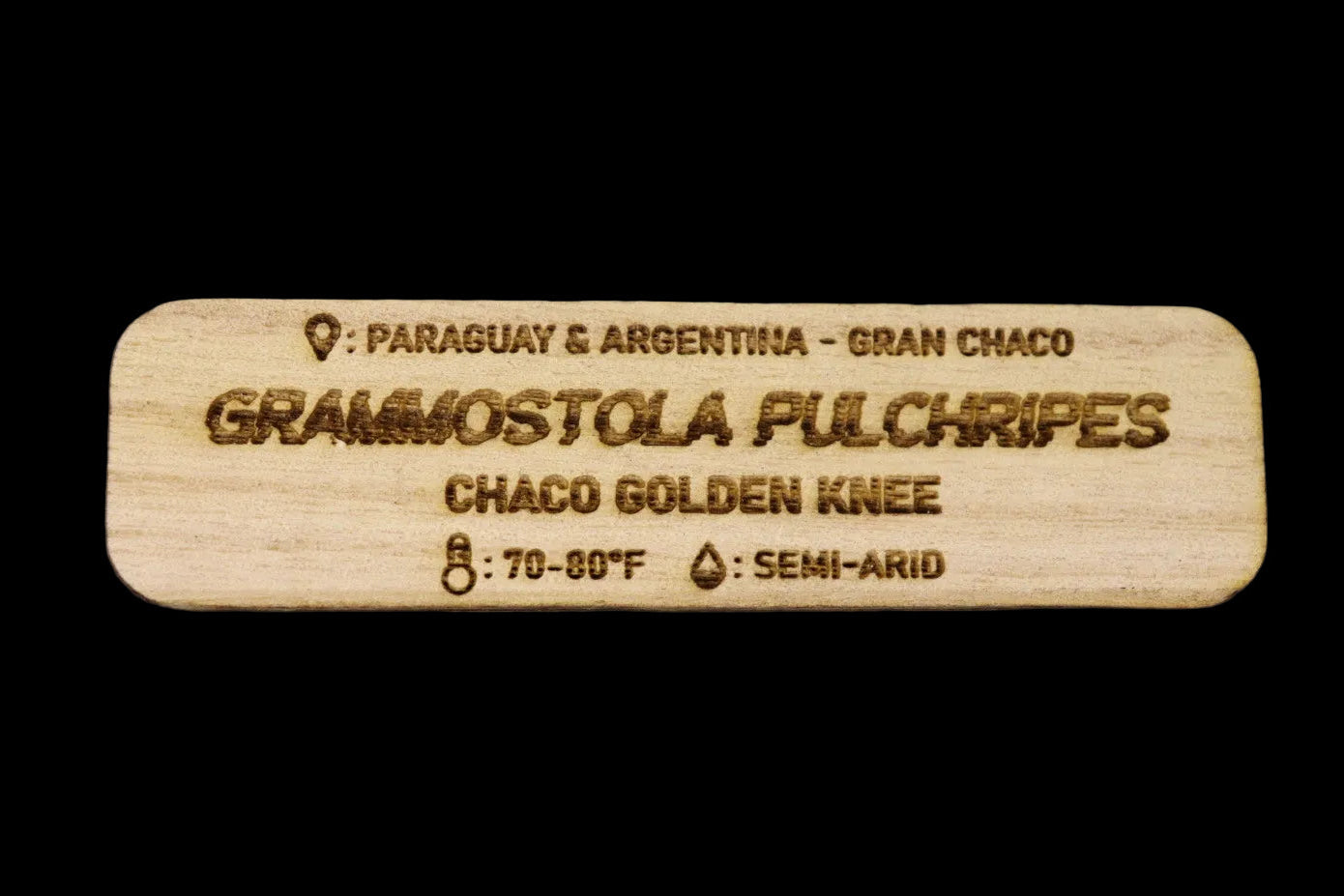 Grammostola Pulchripes Tarantula Name Tag