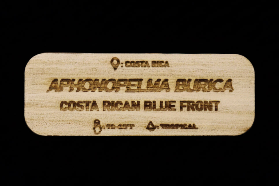 Aphonopelma Burica Tarantula Name Tag