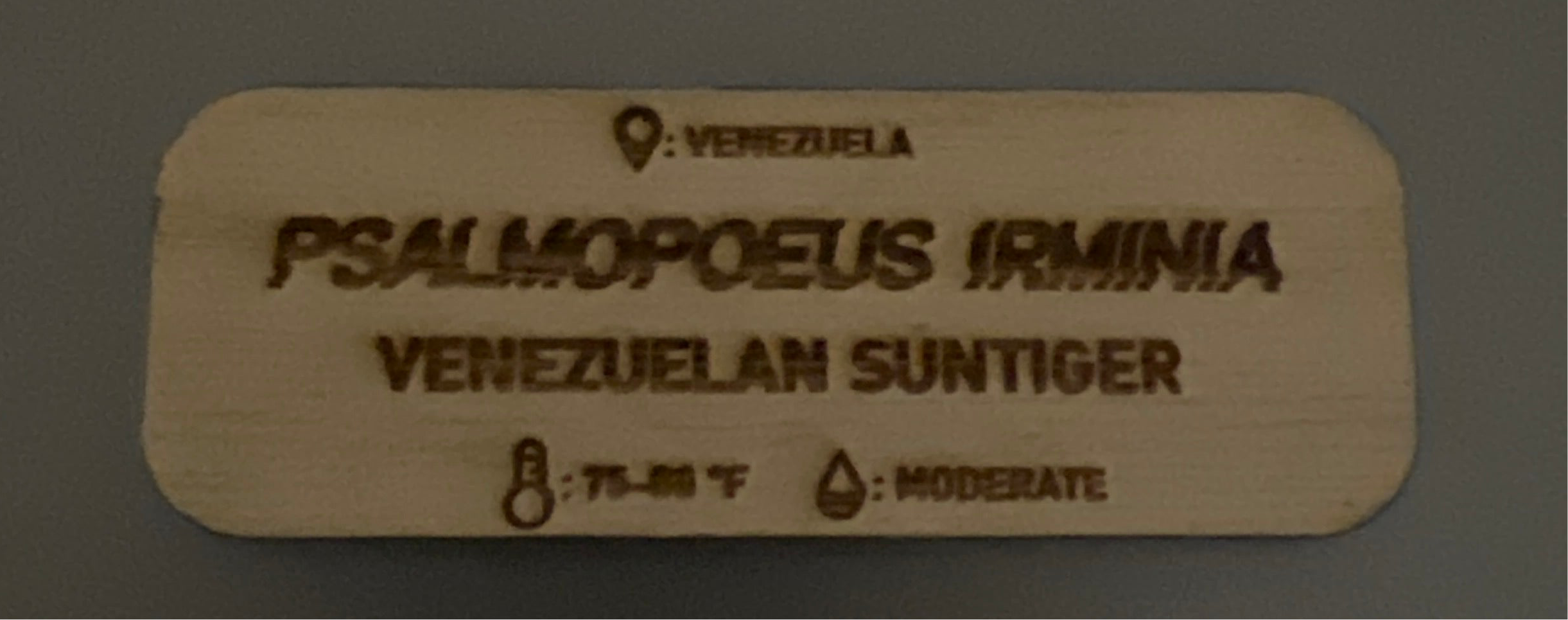 Psalmopeous Irminia Name Tag