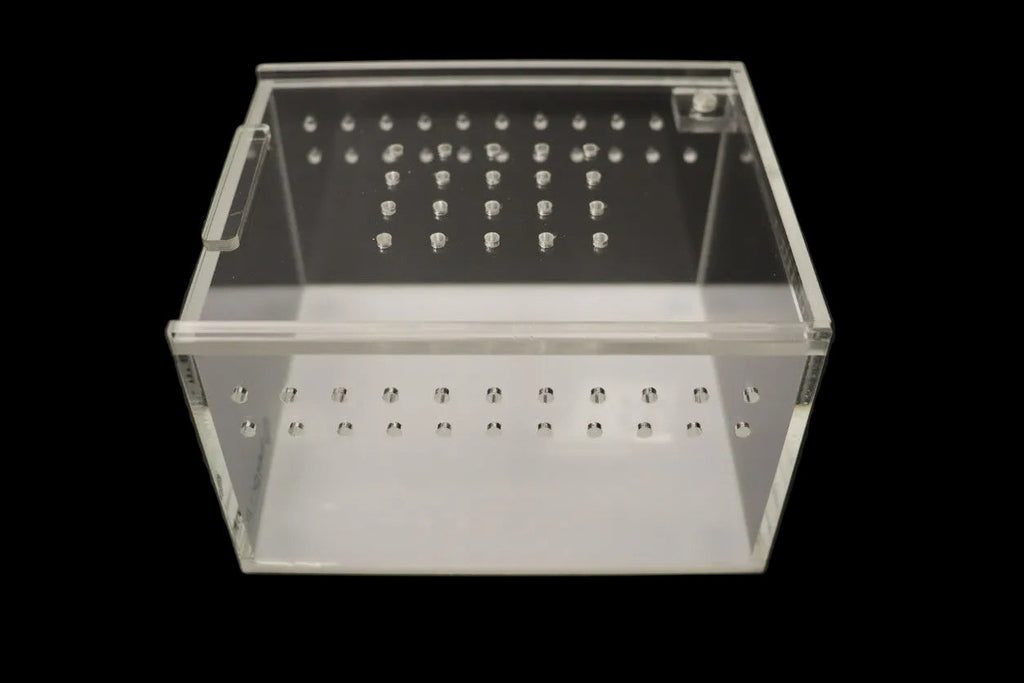Acrylic Enclosure -Mini Flat