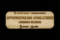 Aphonopelma Chalcodes Tarantula Name Tag