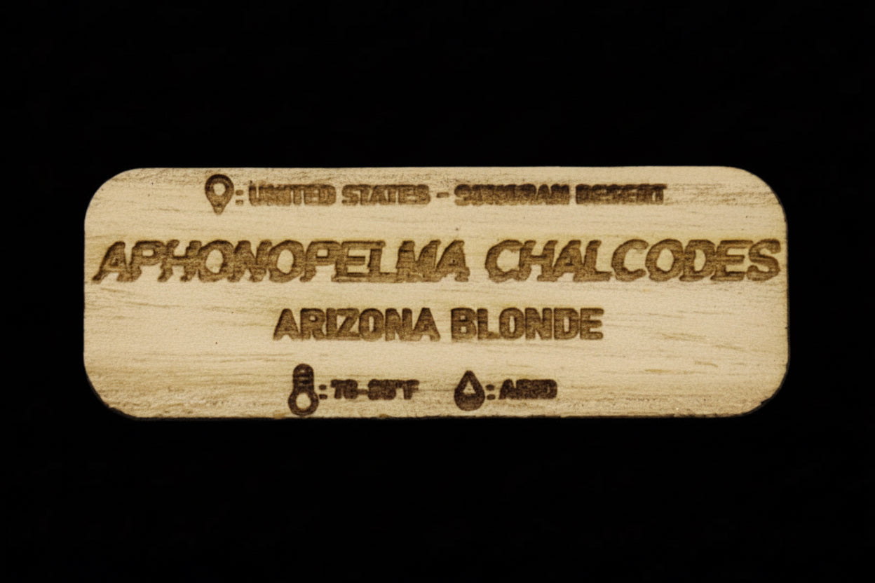Aphonopelma Chalcodes Tarantula Name Tag