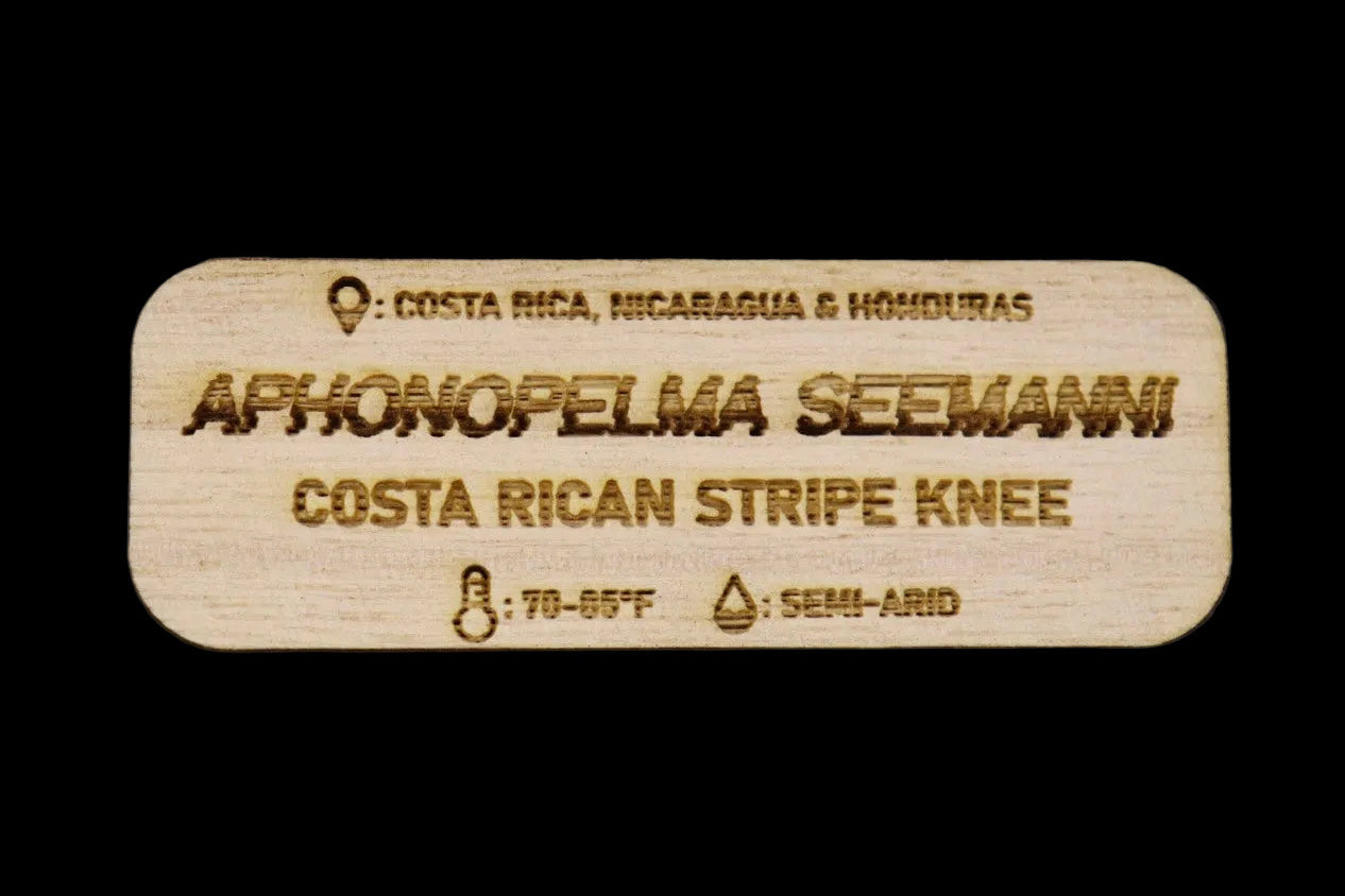 Aphonopelma Seemani Tarantula Name Tag